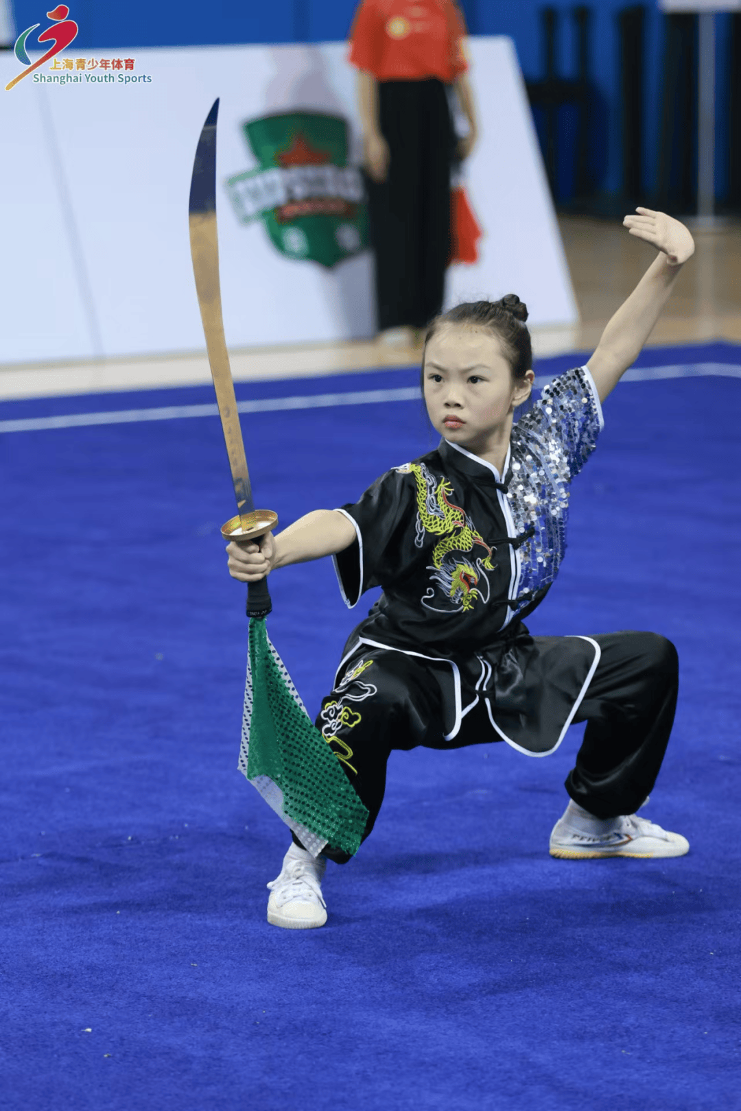 国际武术表演比赛,传统文化展现新魅力 国际武术表演比赛,传统文化展现新魅力