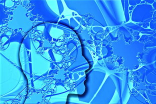 kaiyun官方网站-中国足球不同战术体系试验数据，国足战术风格